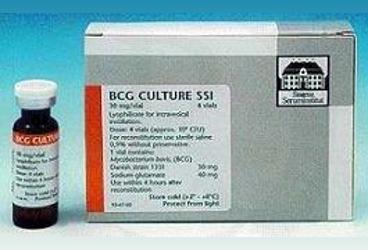 Bcg Ssi Culture