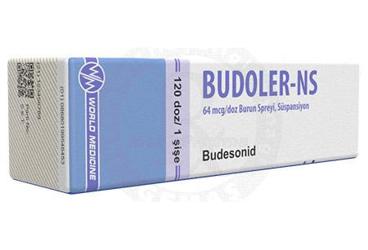 Budoler
