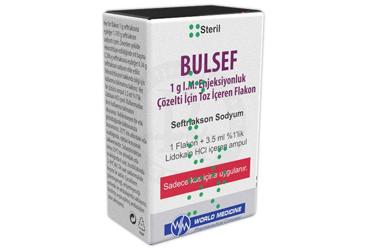 Bulsef