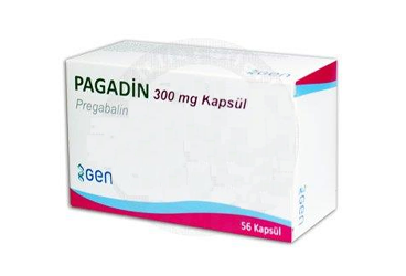 Pagadin