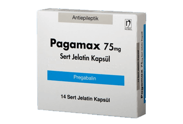 Pagamax