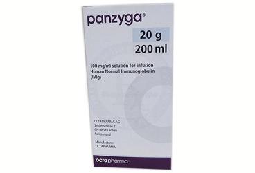 Panzyga