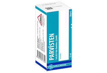 Parvisten