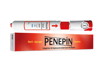 Penepin