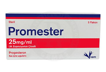 Promester