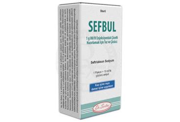 Sefbul