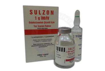 Sulzon