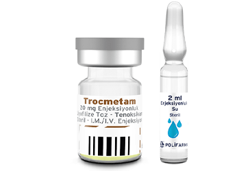 Trocmetam