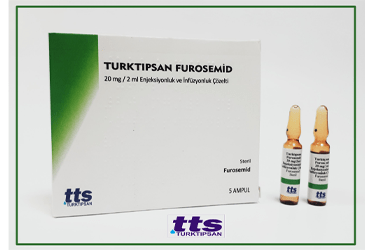 Turktipsan